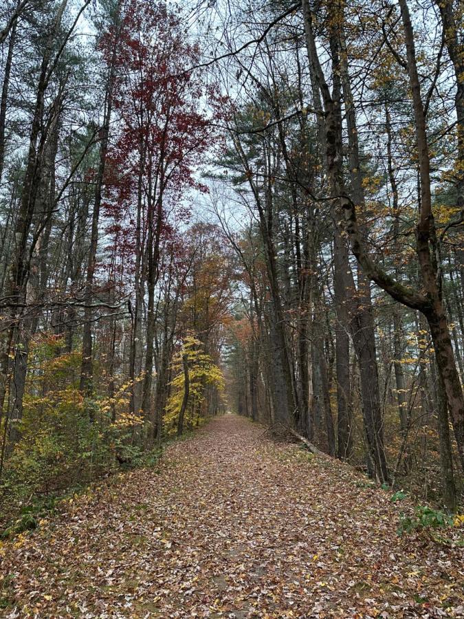 Escape To A Streamside Cabin In The Lower Catskills Wurtsboro Eksteriør bilde